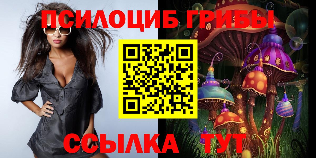 Ковров  Псилоцибиновые грибы Psilocybine cubensis  Вход с VPN  Псилоцибиновые грибы мицелий 