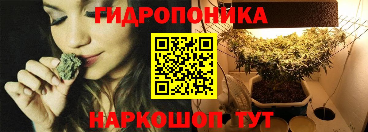 Бошки марихуана конопля Ковров